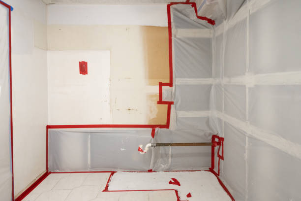 Best Post-Remediation Verification Testing  in Sands Point, NY